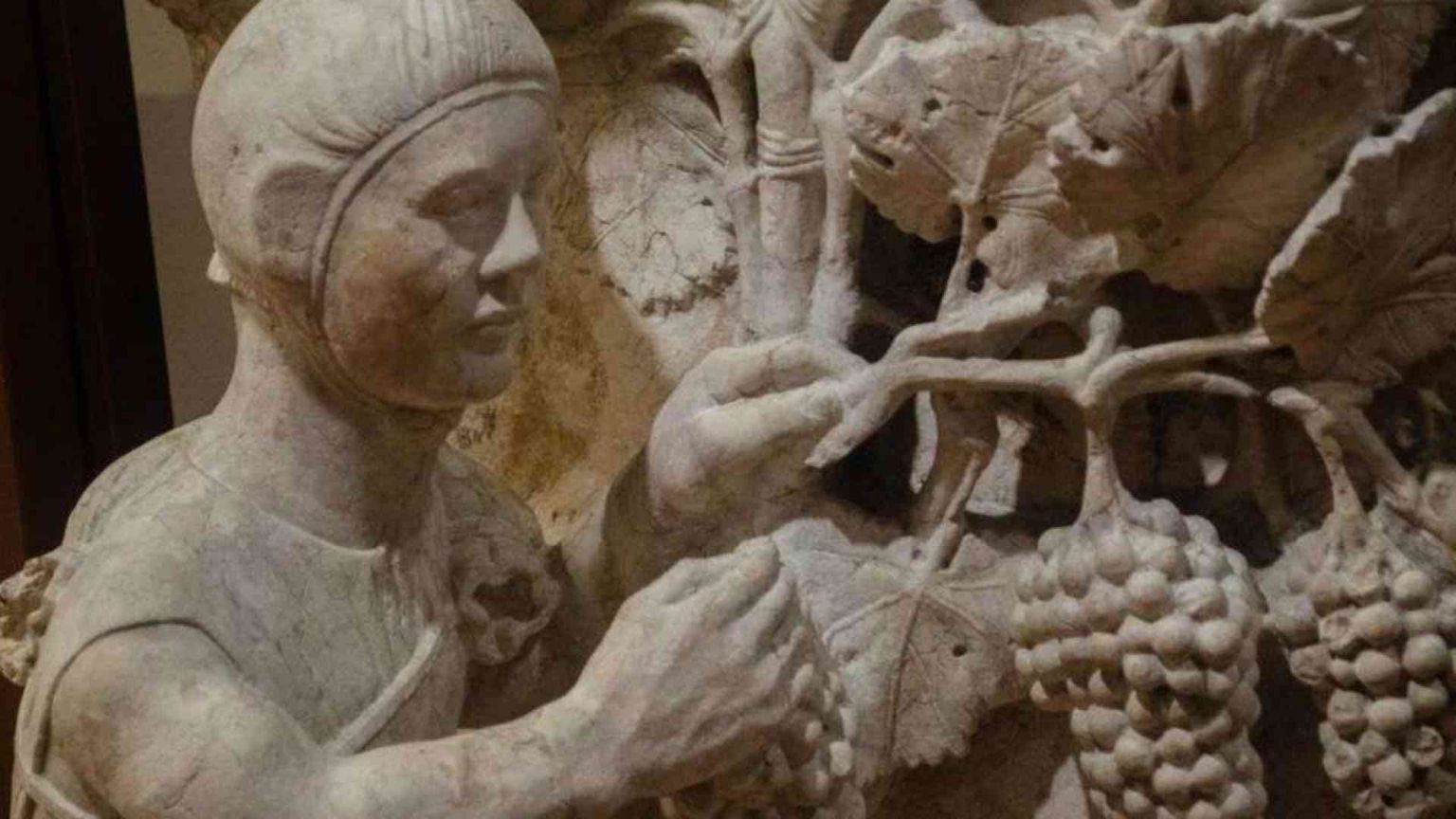 Più che pulite, Dio chiede mani colme di vendemmia