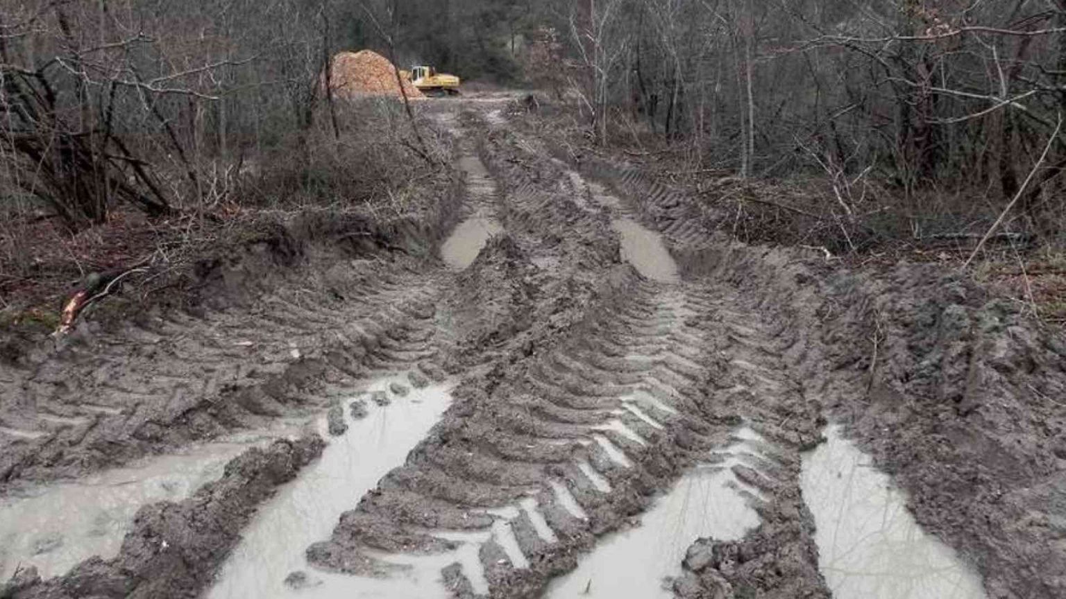 «Nel Pnrr solo lo 0,5% alla tutela dell'ambiente, un decimo della Spagna»