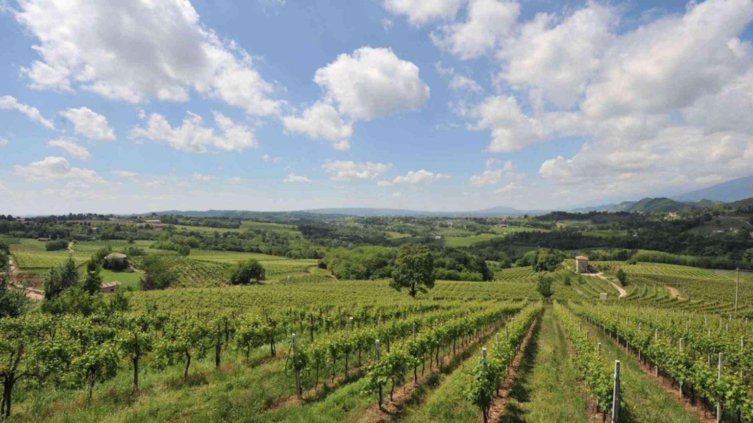 Dall'agricoltura al turismo, la produzione come fatto sociale