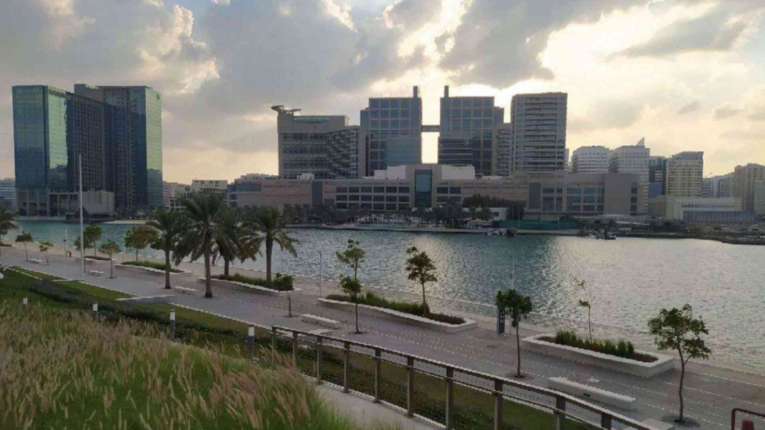 Emirati Arabi, dalle armi alla cooperazione