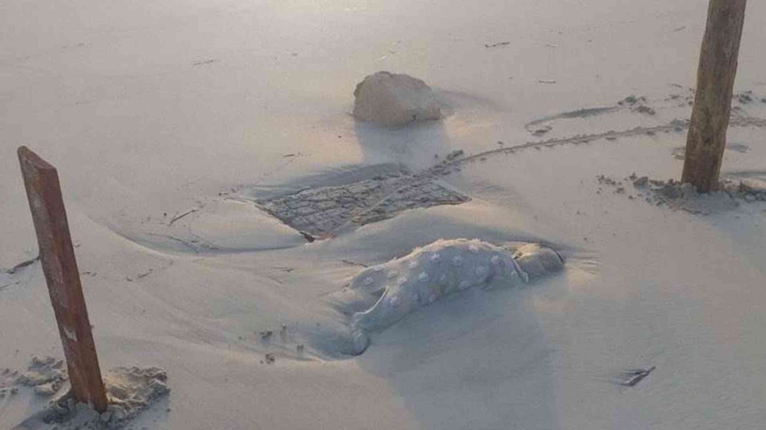 Libia, il mare restituisce i corpi dei piccoli migranti