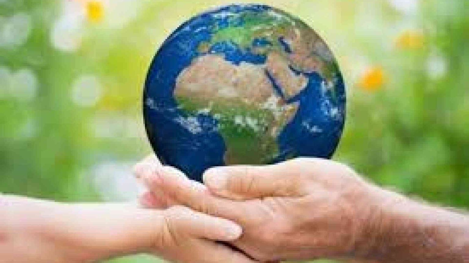 Alla ricerca di nuove figure professionali