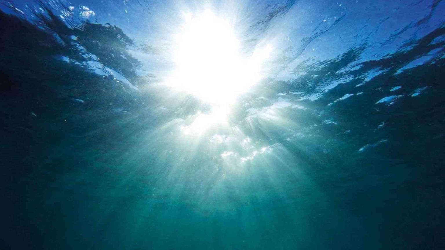 Difendere la salute dell'oceano ci aiuterà a salvare il pianeta