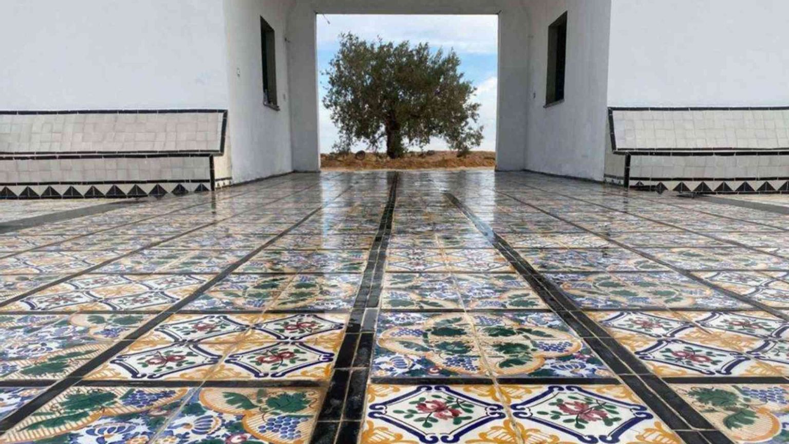 Un giardino d'Africa e l'ulivo della pace in memoria dei morti nel Mediterraneo