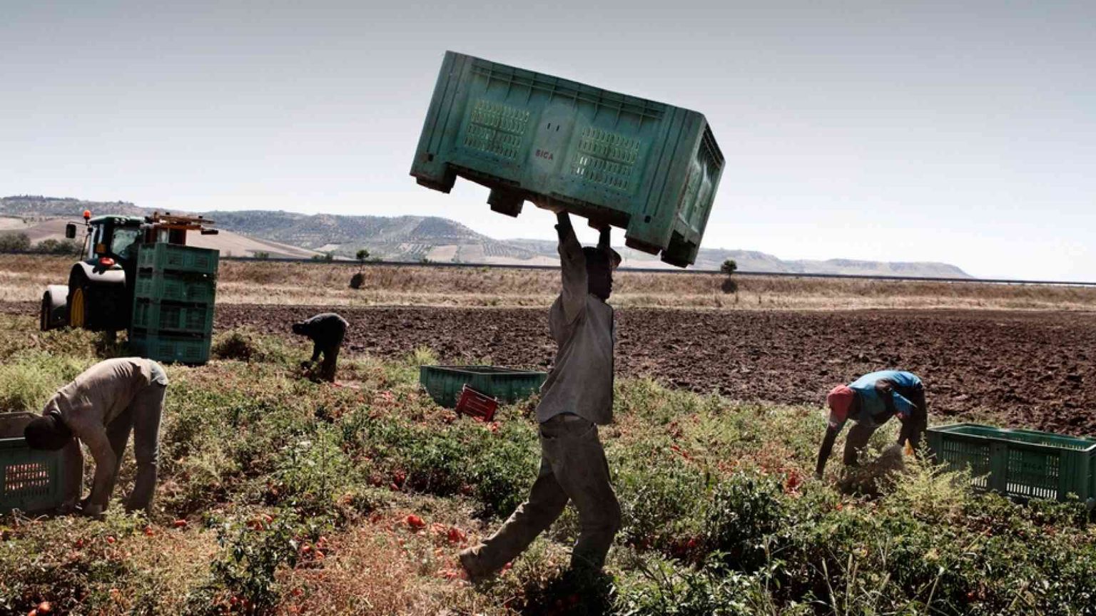 Bracciante morto di fatica e di caldo. E il sindaco «ferma» i campi