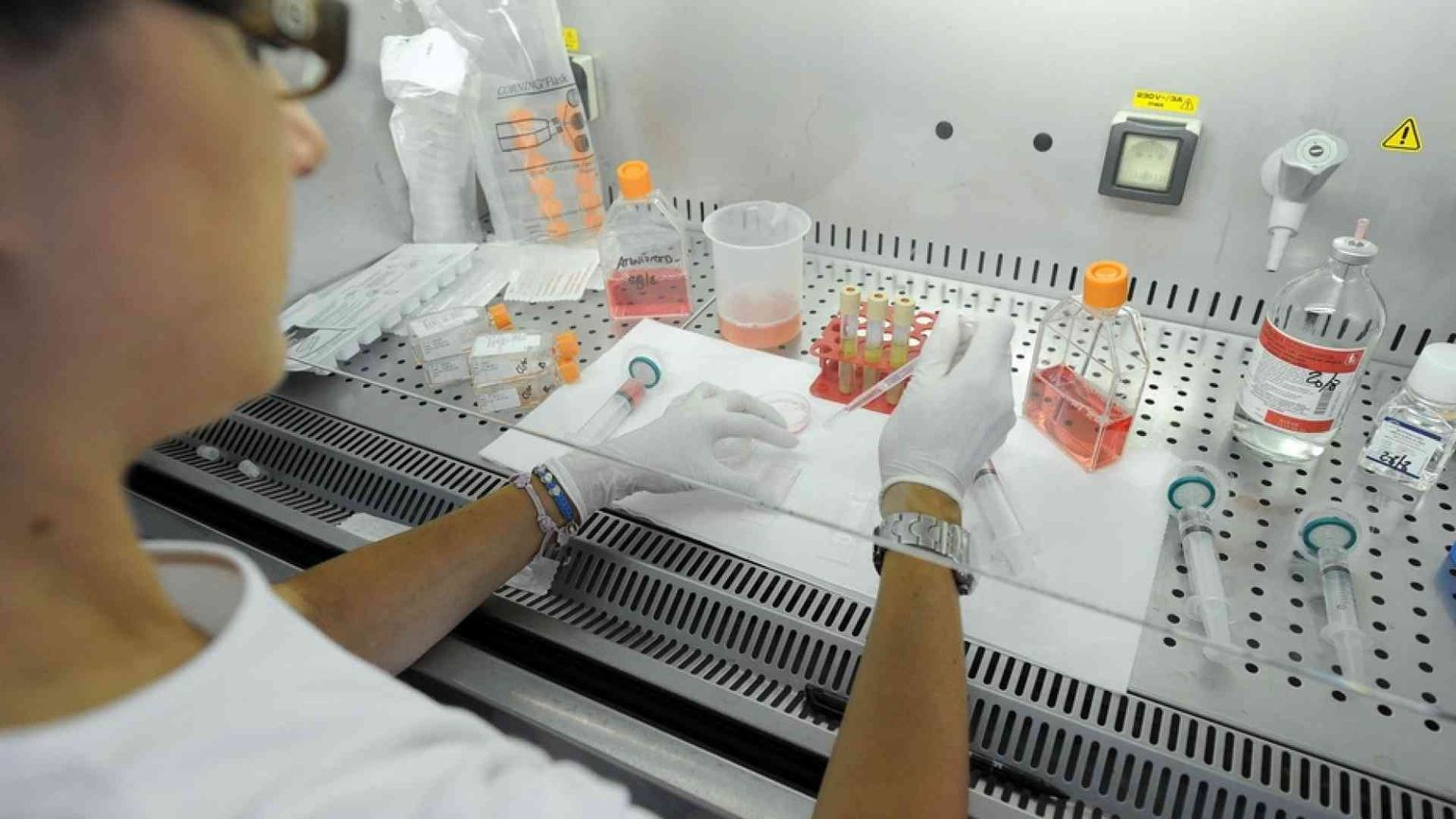 Fa discutere la «bioetica alla francese»: provetta per tutte, embrioni ibride