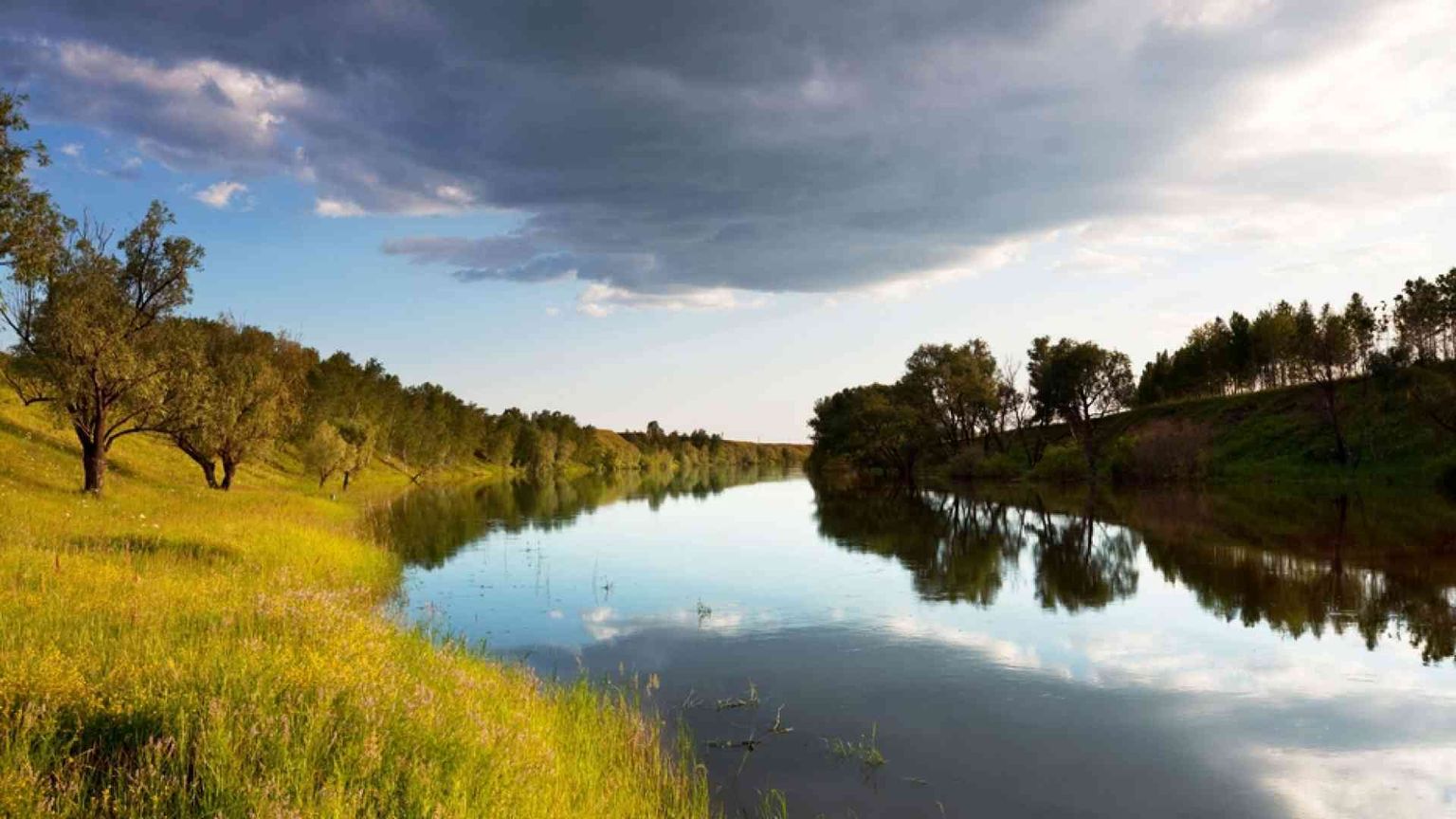 Così il lockdown ha dato sollievo all'ambiente