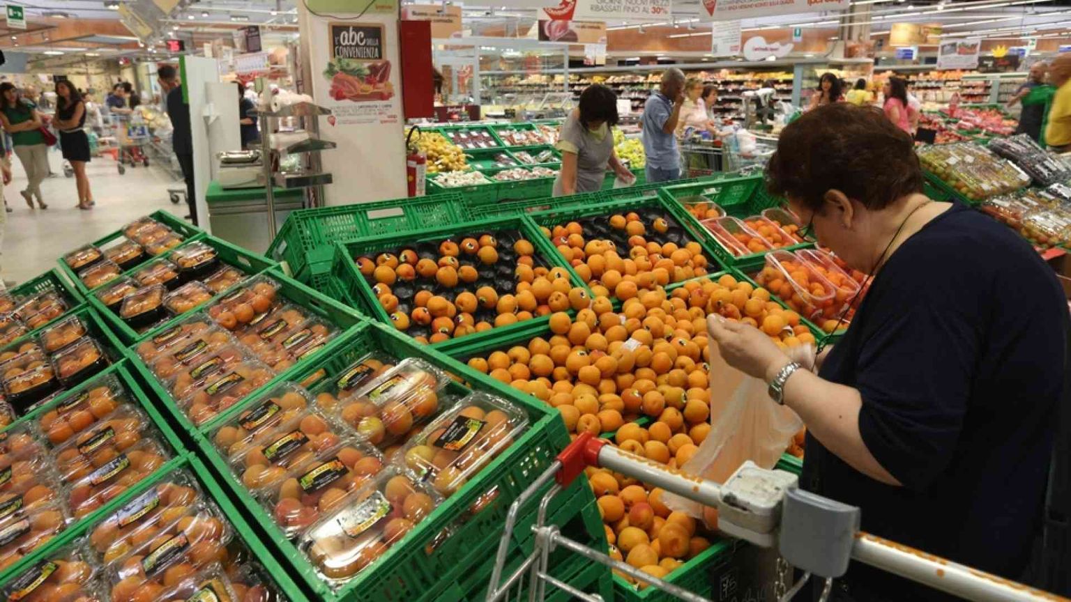 L'enorme spreco della frutta: gettata solo perché «brutta»