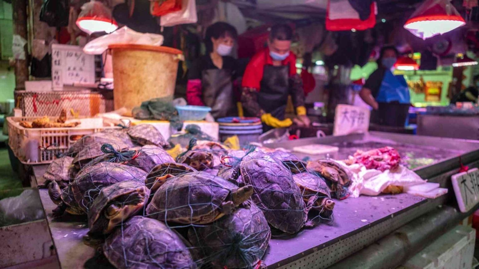 La Cina non svolta sui wet market: restano aperte le «palestre dei virus»