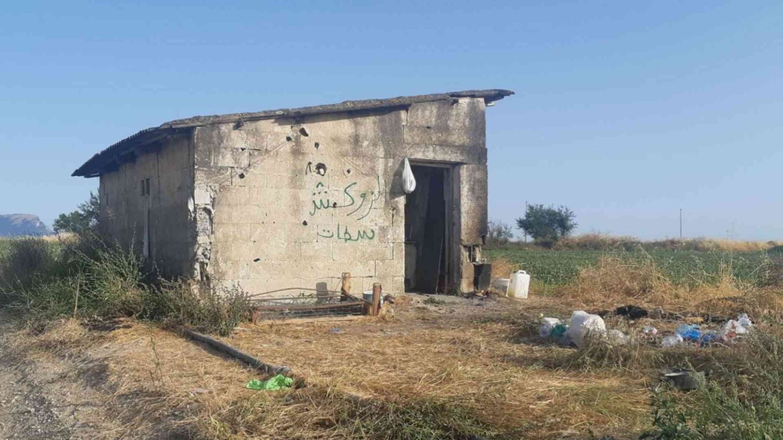 Gli invisibili delle insalate in busta