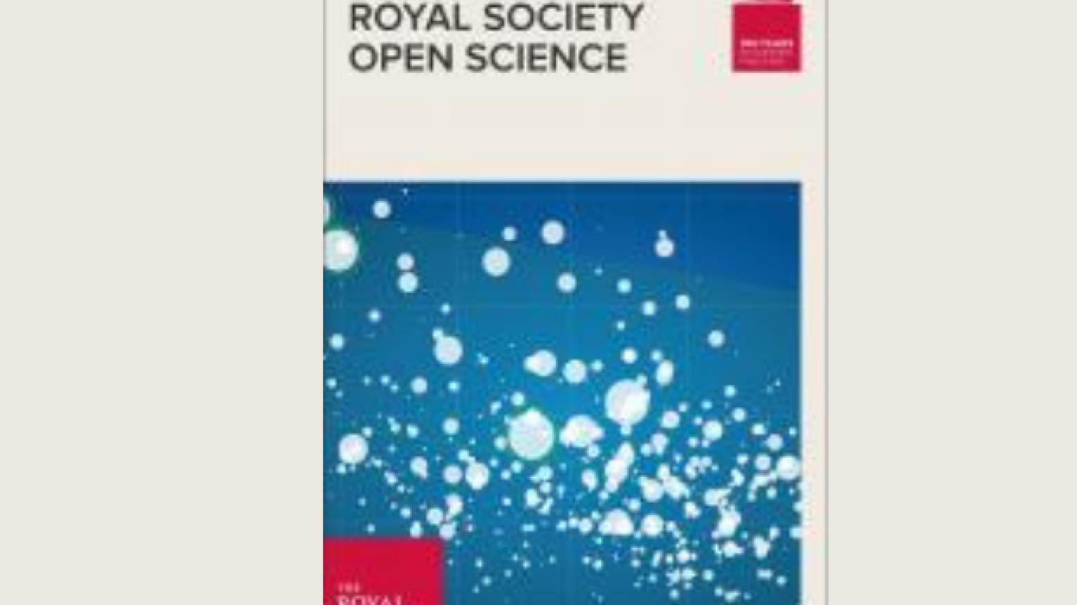 Il dinosauro è minuscolo. Scoperta una nuova specie
