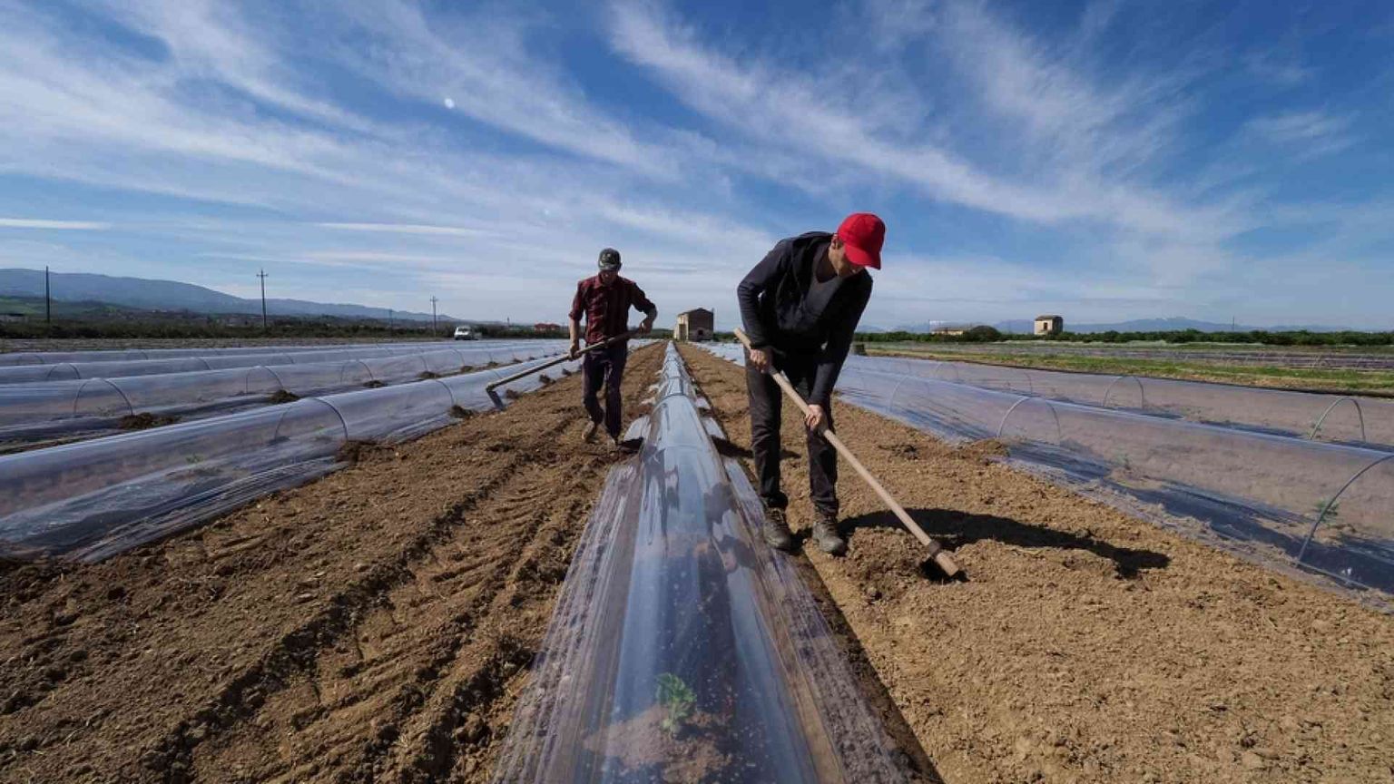 Immigrati, il lavoro per integrare