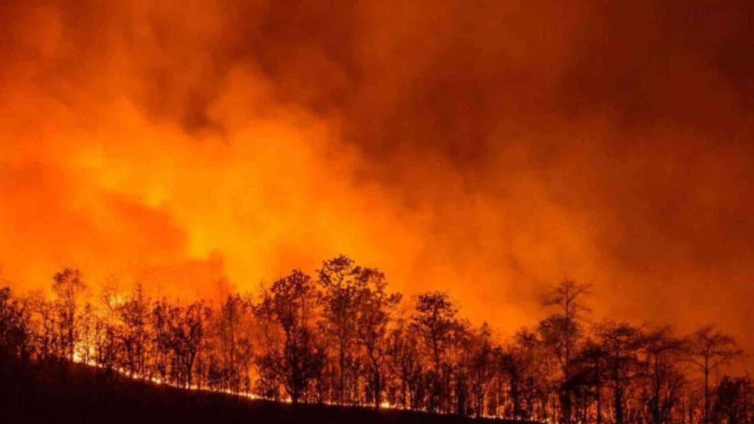 La Sardegna brucia. I vescovi: la politica affronti l'emergenza