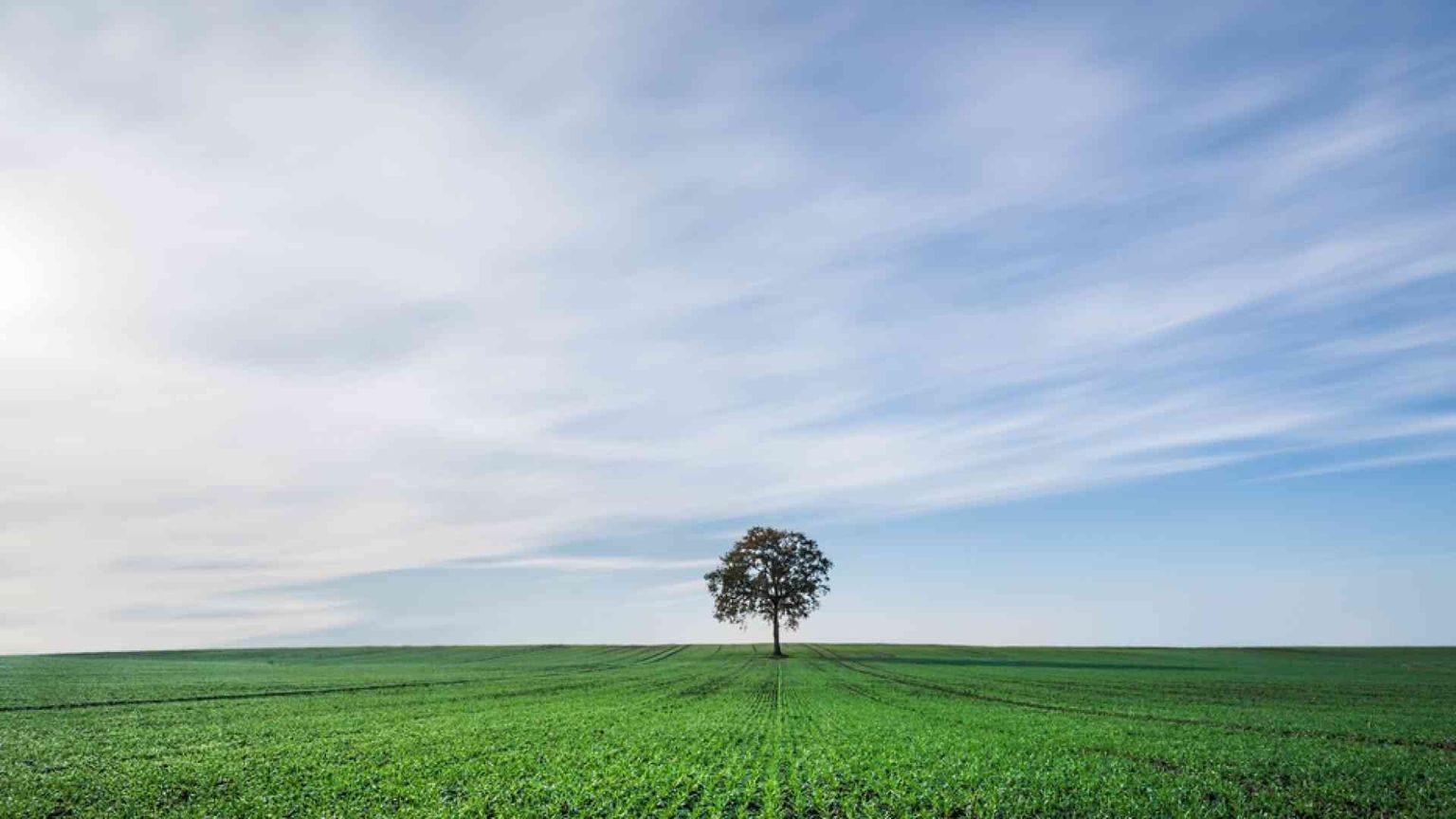 "Grazie per le acque... ". Preghiera per il Creato al Congresso eucaristico