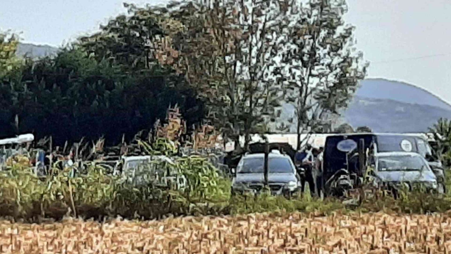 Spara alla moglie nel Vicentino. Sei donne uccise in una settimana