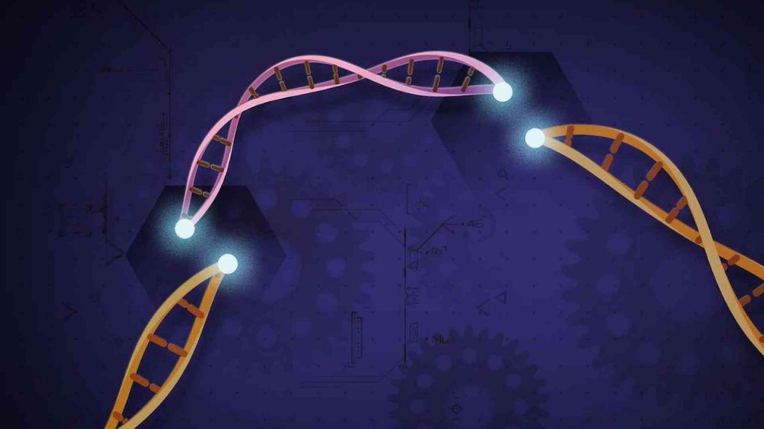 Editing genetico, le sfide etiche delle cure con la tecnica Crispr
