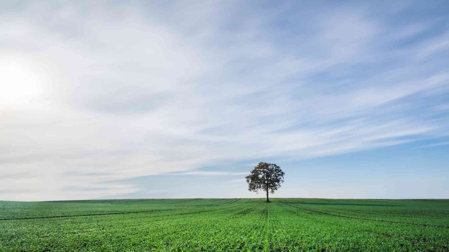 Ma quella Stella dell'ecologia non brilla più come all'alba