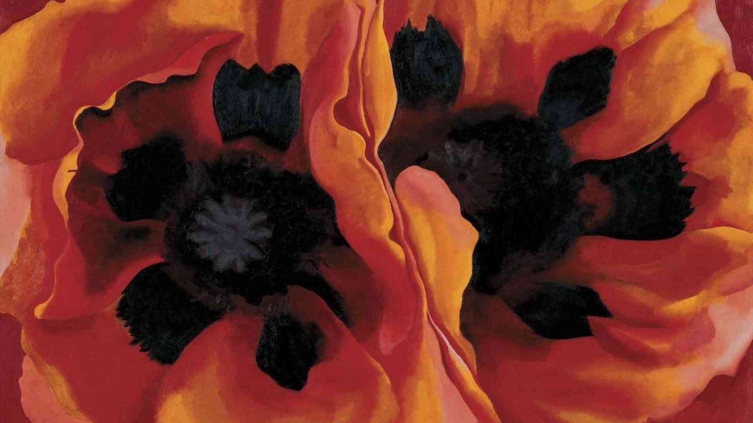 Il senso di Georgia O’Keeffe per i fiori