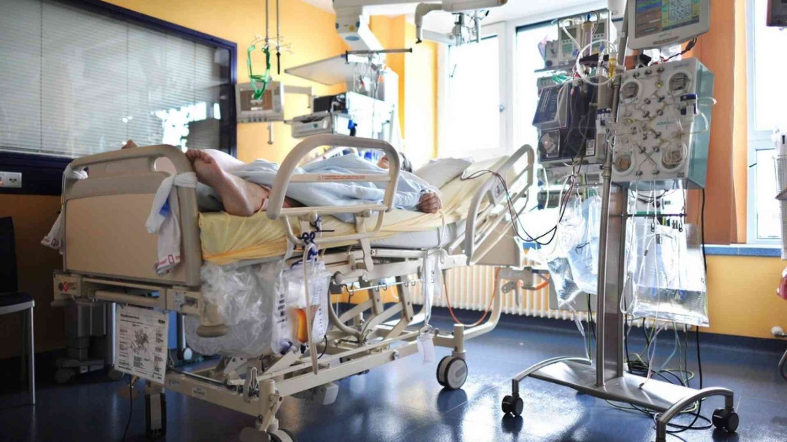 L'Italia rischia 30mila morti per eutanasia