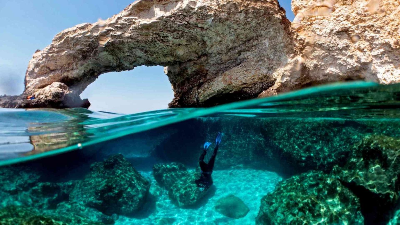 «Un milione di specie scomparirà». È corsa contro il tempo per la Cop15 in Cina