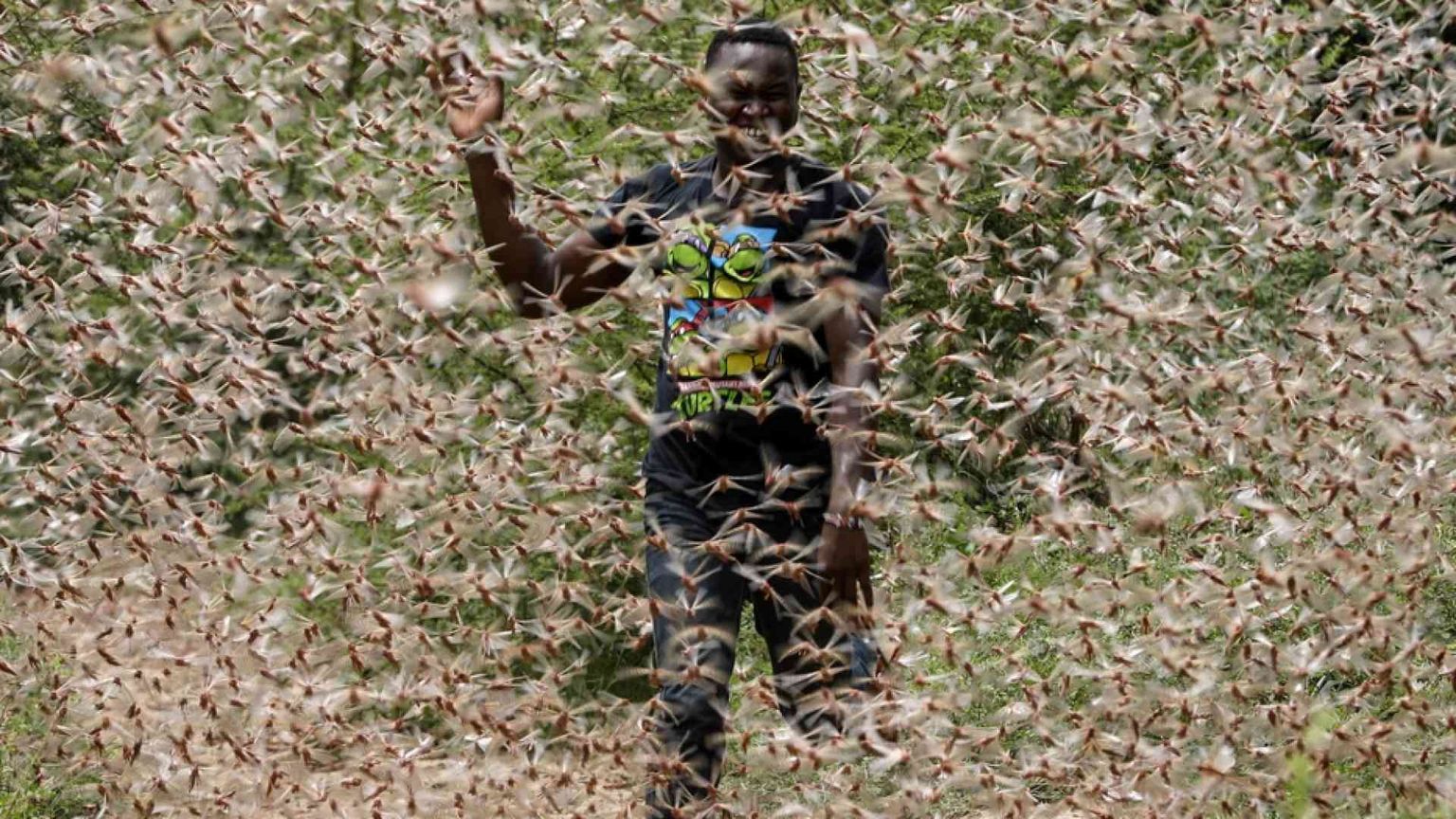 Il riscaldamento globale fa male alla salute dei poveri