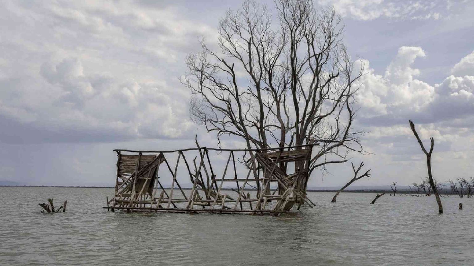 Cos'è la Cop26 di Glasgow. Clima, emissioni, Paesi inquinanti