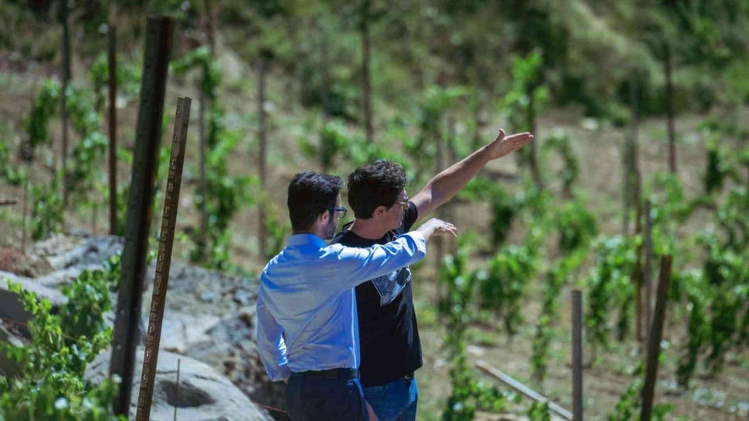 Dall'allevamento al turismo, rinascita verde per gli Appennini