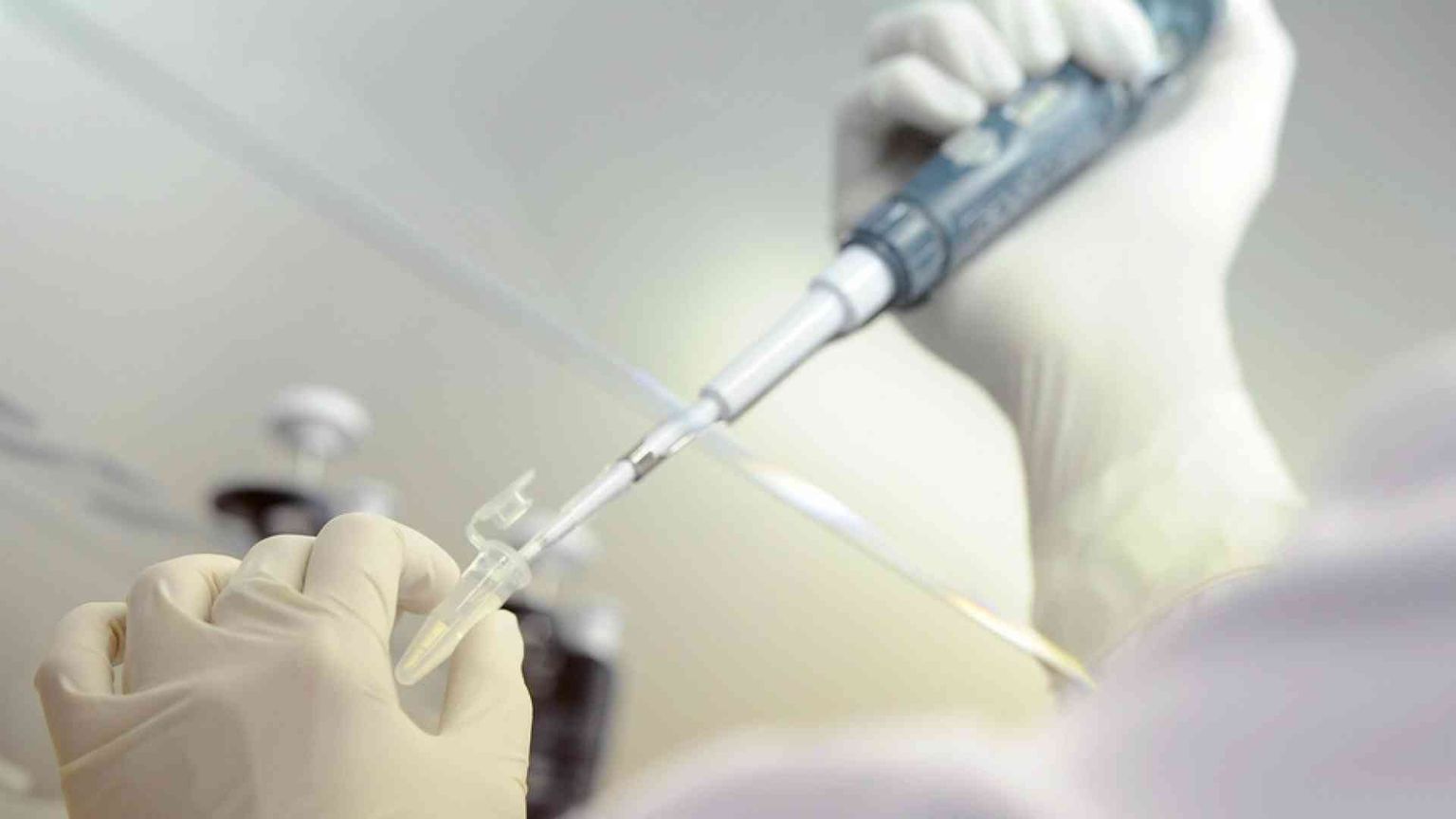 Scambio di embrioni in provetta, due coppie si "restituiscono" i neonati