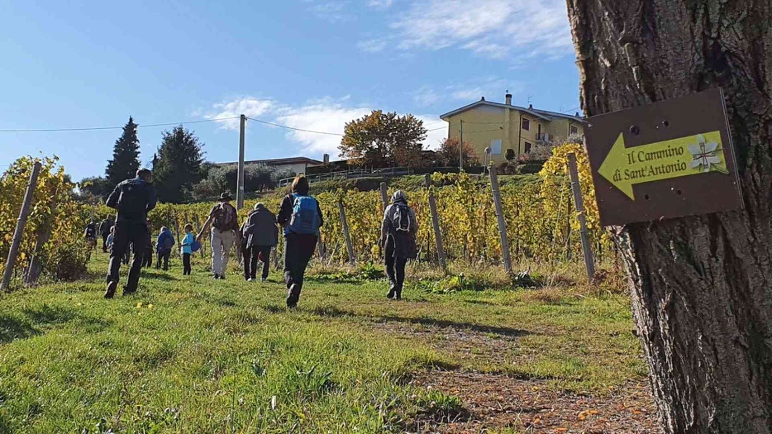 Con sant'Antonio il pellegrinaggio staffetta che conquista il Triveneto