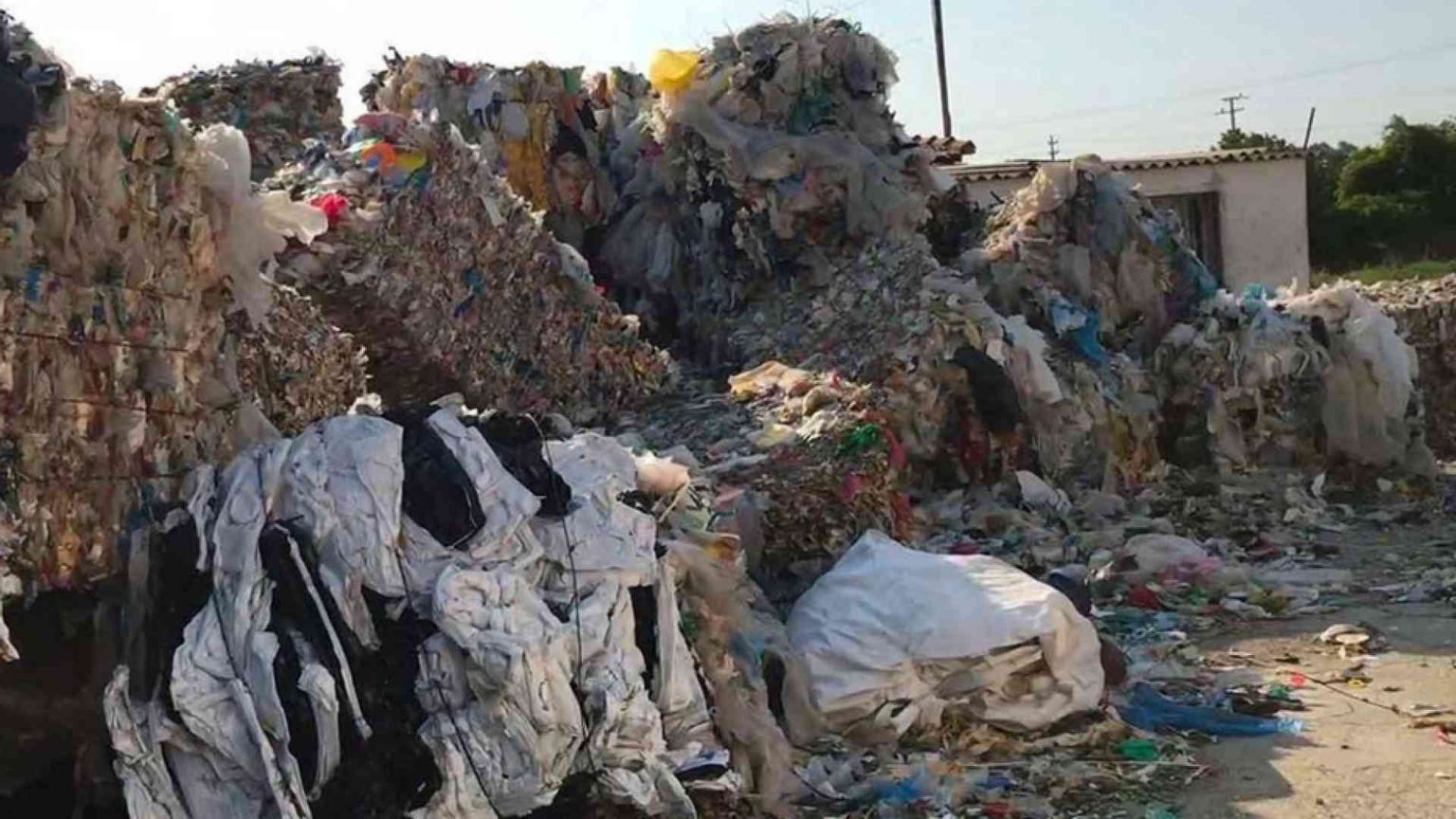 Ecomafie: illegalità quasi una “componente naturale"