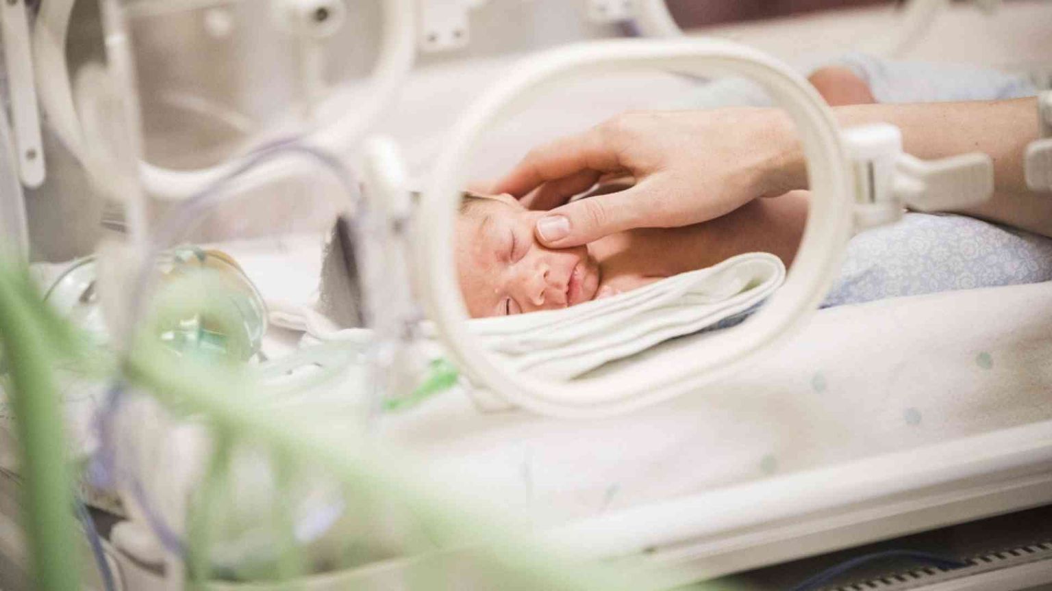 I vescovi: ogni vita, all'inizio o alla fine, sia custodita
