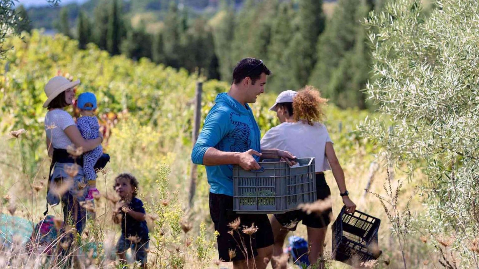 Cooperative di comunità: quando il bisogno diventa impresa