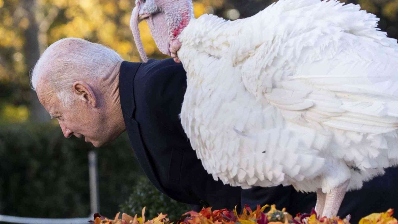 Thanksgiving, Biden “grazia” i tacchini: «Salvi perché vaccinati»
