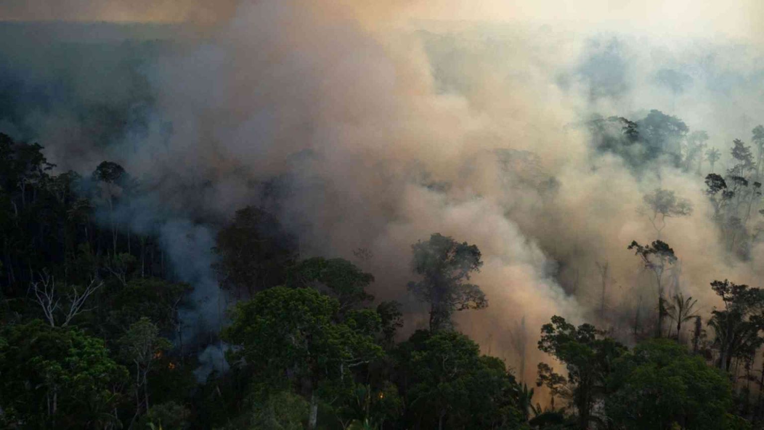 Difendevano l'Amazzonia: sterminati padre, madre e figlia