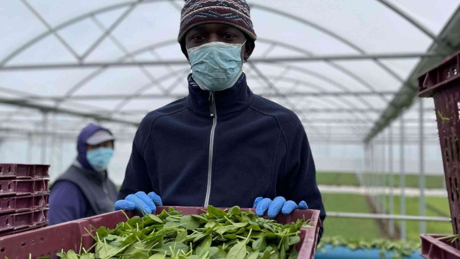 Braccianti assunti: con NoCap il caporalato si ferma a Eboli
