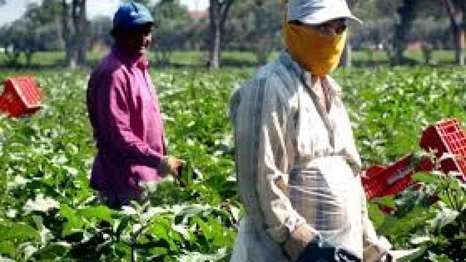 Lavoratori extracomunitari, via libera a 69.700 ingressi