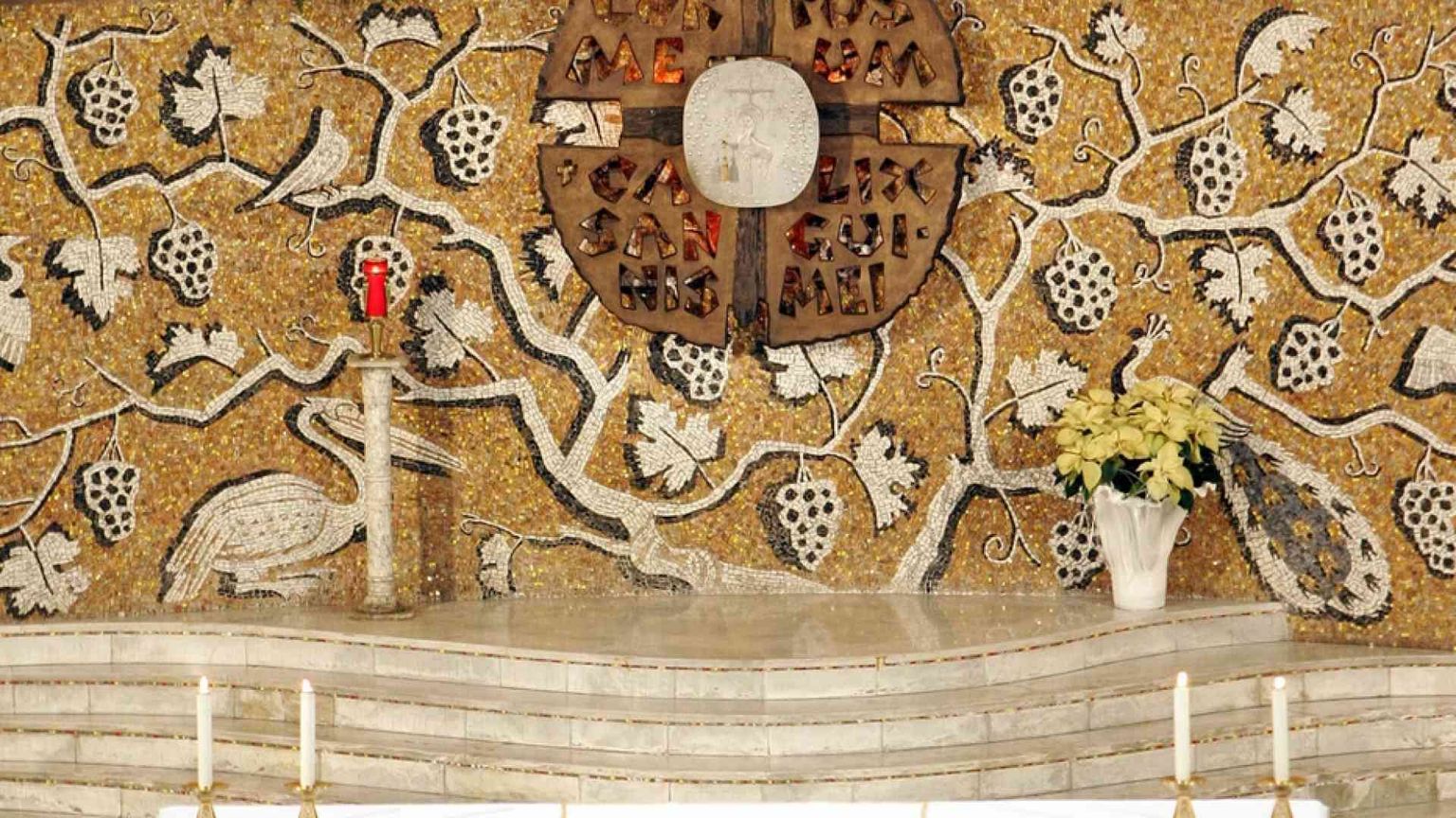 Le Messe in diretta tv e social di sabato 22 e domenica 23 gennaio 2022