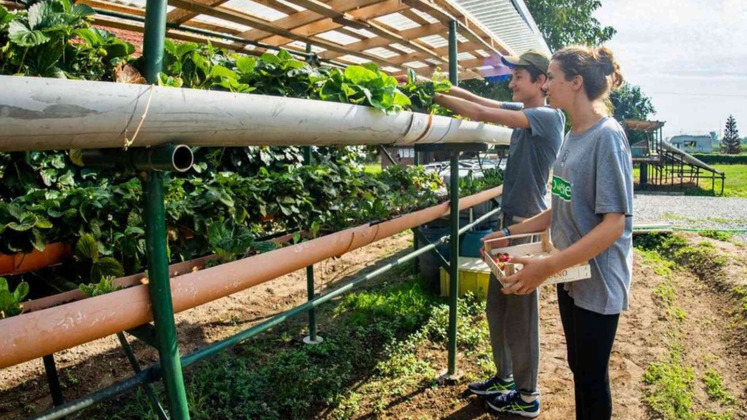 Tecnologia scartata in missione con Re.Te.