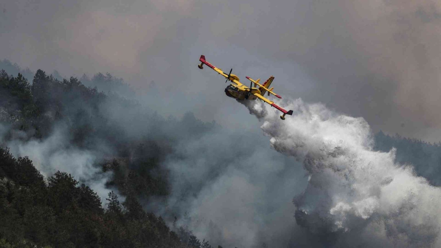 Siccità e incendi d'inverno, il cambiamento è già qua