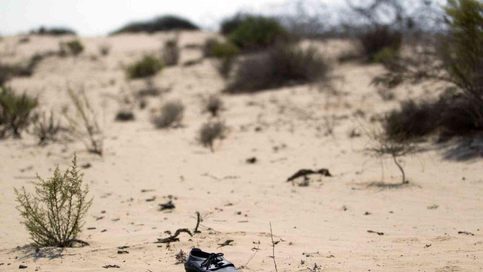 Deportati in Libia espulsi nel Sahara. I profughi sono fantasmi nel deserto