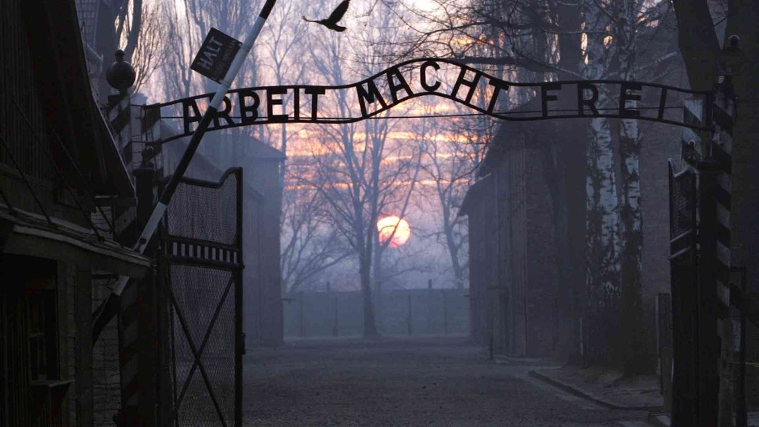 Luigi, il bambino di 90 anni che ha provato a dimenticare il lager