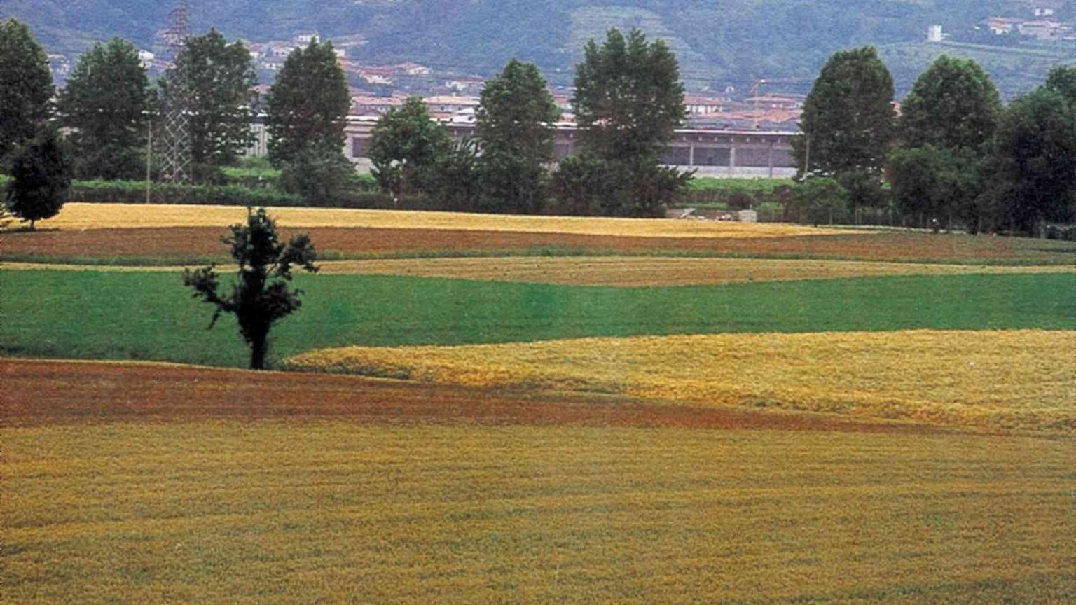 La guerra in Ucraina è diventata crisi umanitaria e alimentare