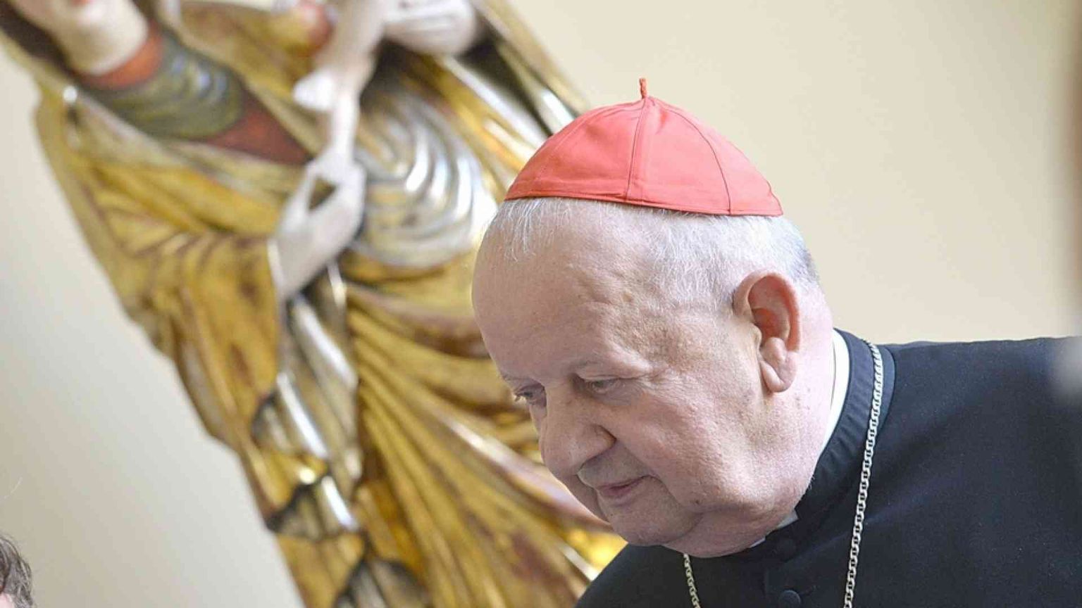 Il cardinale Dziwisz prosciolto dalle accuse