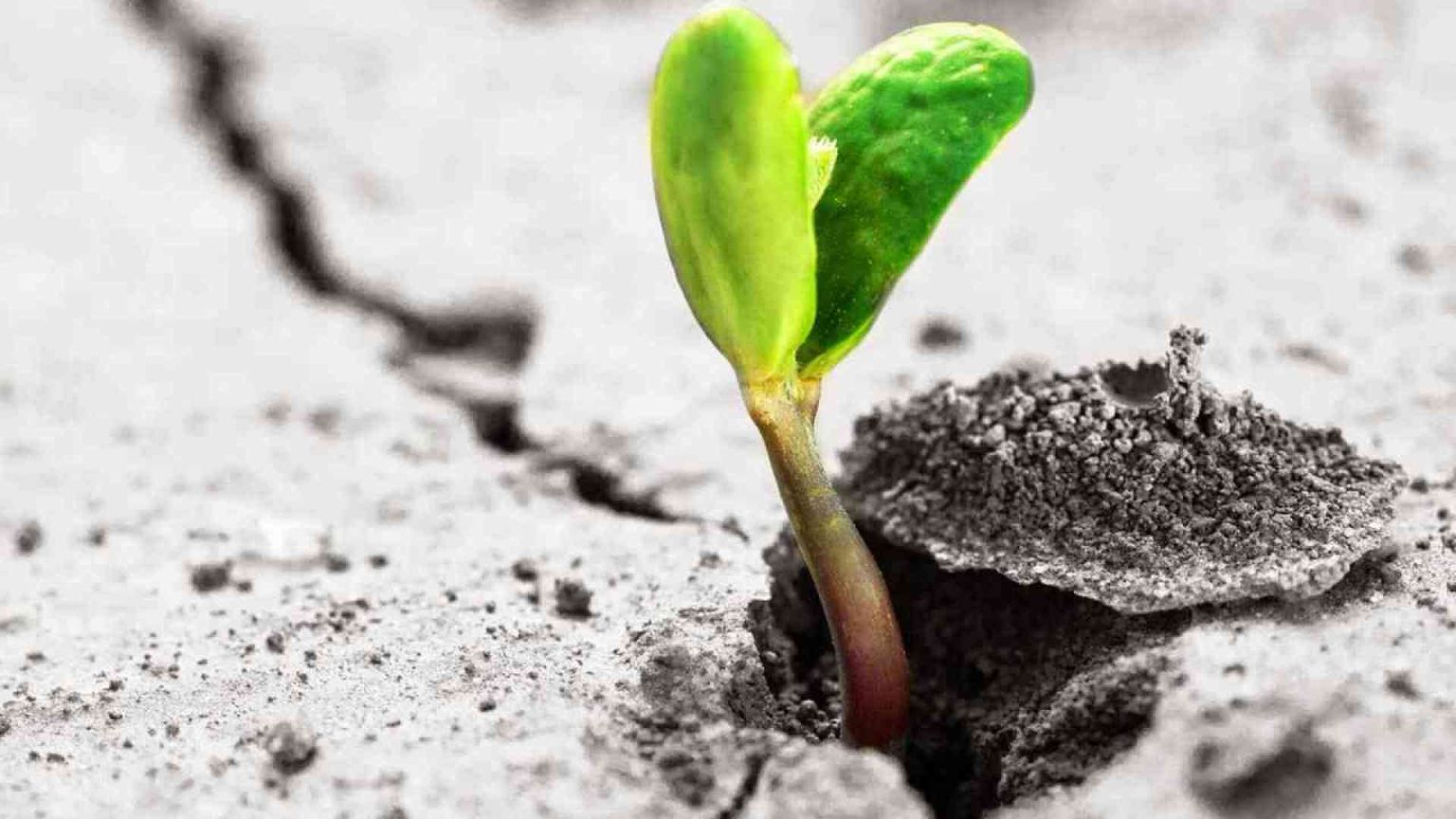 Con le vittime e per la pace una resistenza nonviolenta