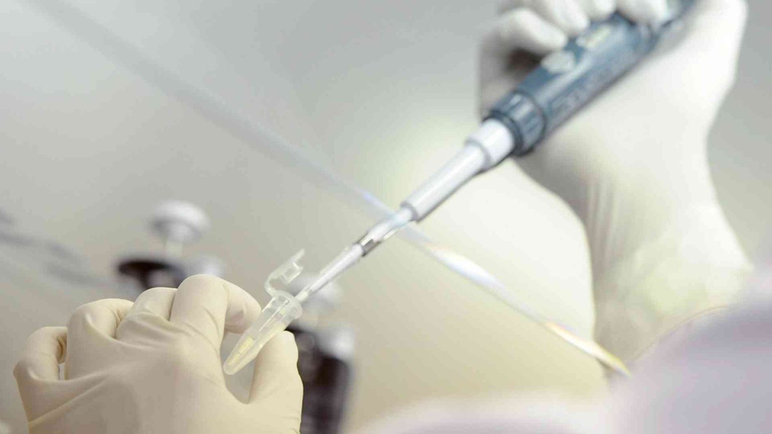 D’Agostino: la persona è la chiave per una bioetica della tecno-scienza