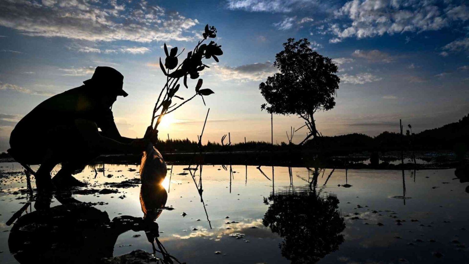 Il ritorno del «Club di Roma»: si fermi lo sterminio del futuro