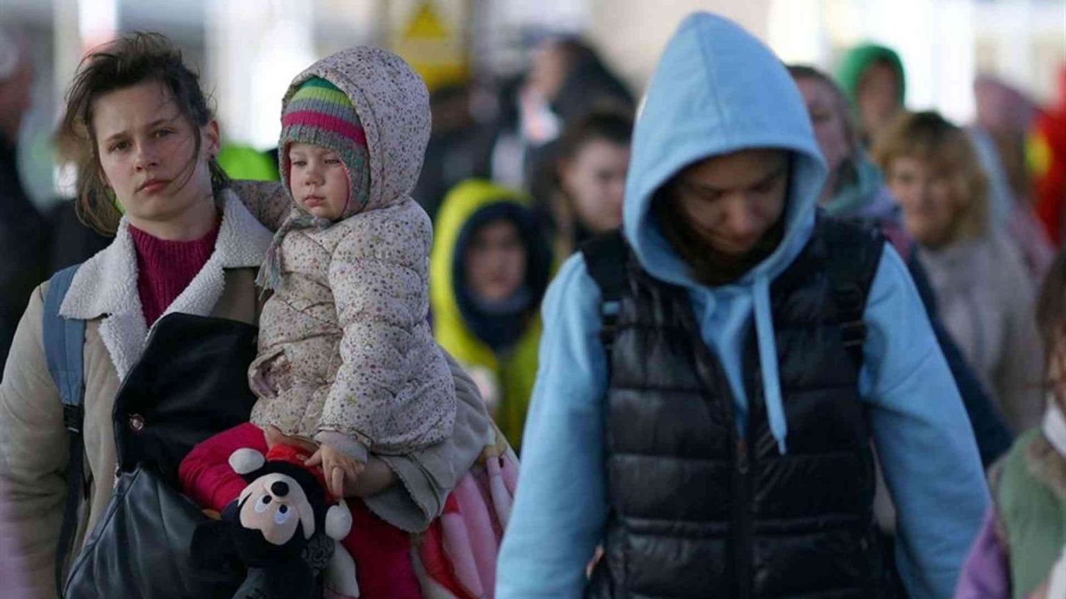 Formare e avviare al lavoro rifugiati e altri migranti vulnerabili