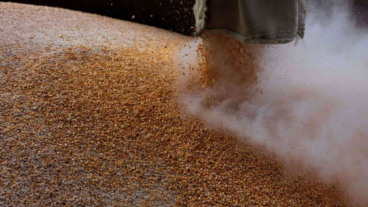 Chi tiene in ostaggio i cereali ucraini e perché non salpano navi da Odessa