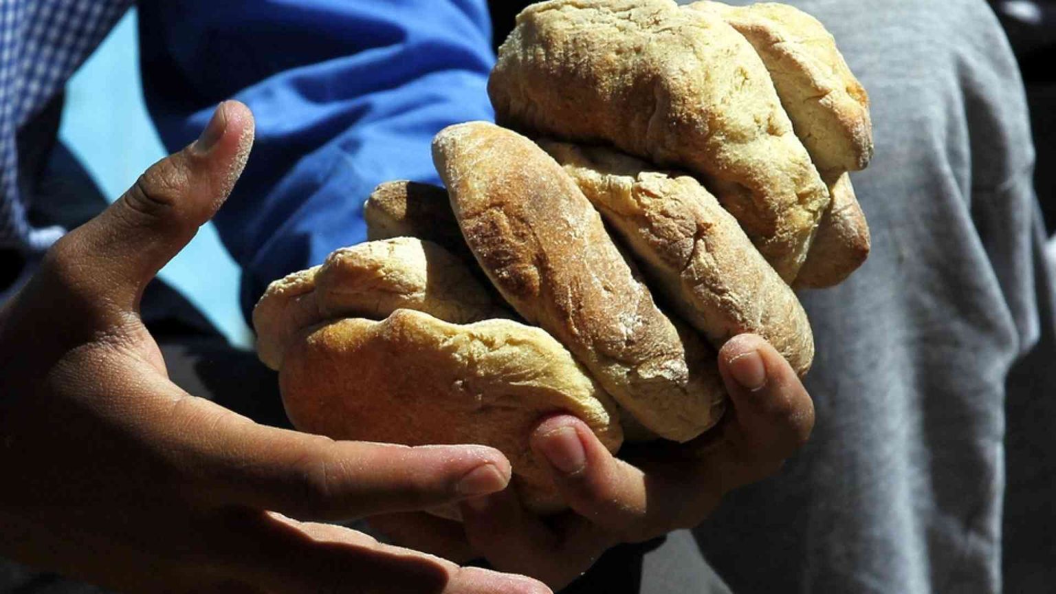 Giornata del Creato, la Cei: torniamo al gusto del pane