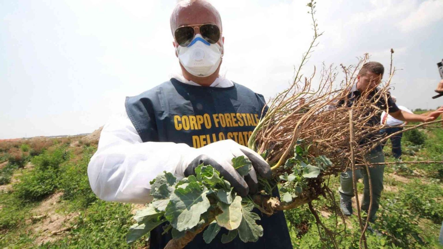 L’invito della Cei: contro le agromafie sosteniamo chi opera nella legalità